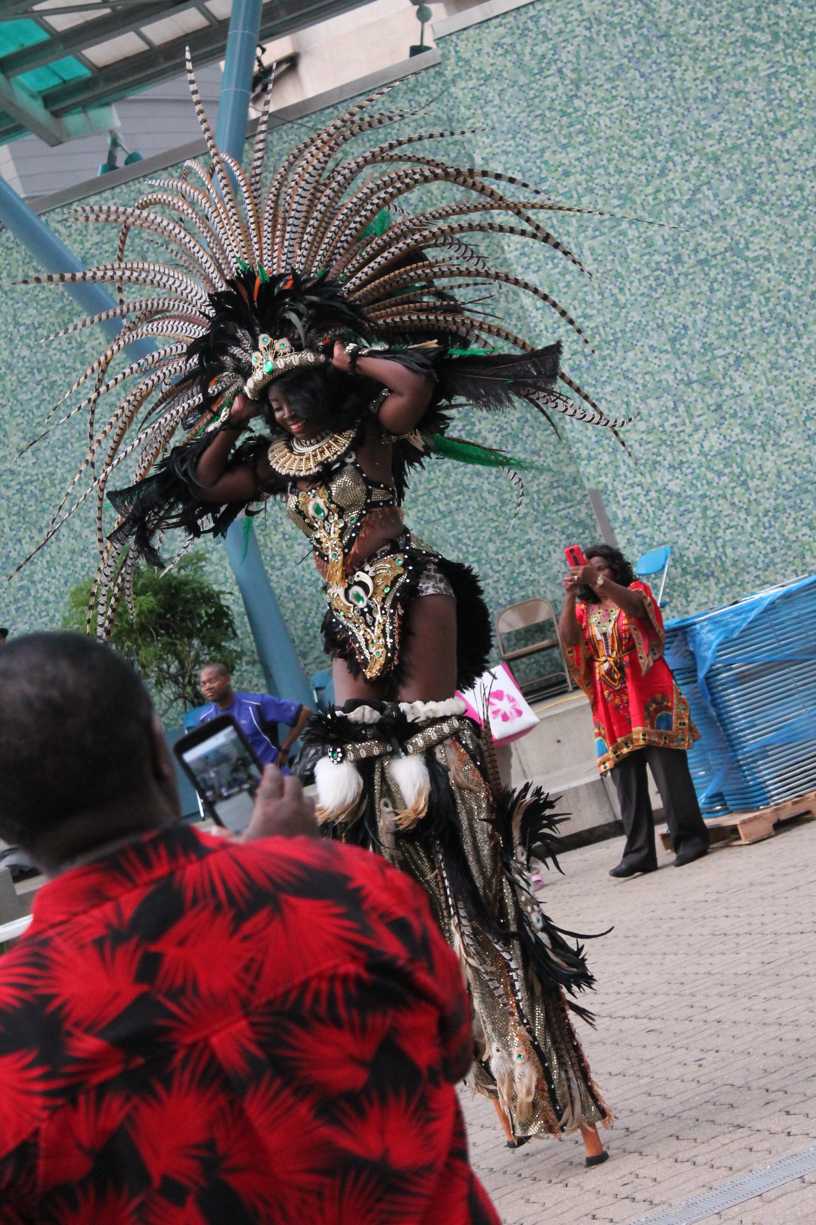 Houston African Arts festival events