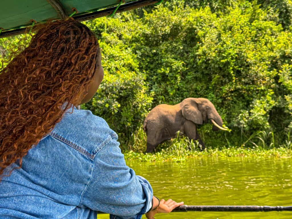 Queen Elizabeth National Park safari, Uganda safari travel, Kazinga Channel boat cruise, wildlife in Queen Elizabeth National Park, lions in Uganda safari, Uganda safari vlog, western Uganda travel guide, Kazinga Channel wildlife, Uganda safari animals, Queen Elizabeth Bush Lodge Uganda, Uganda travel blog safari, African safari Uganda