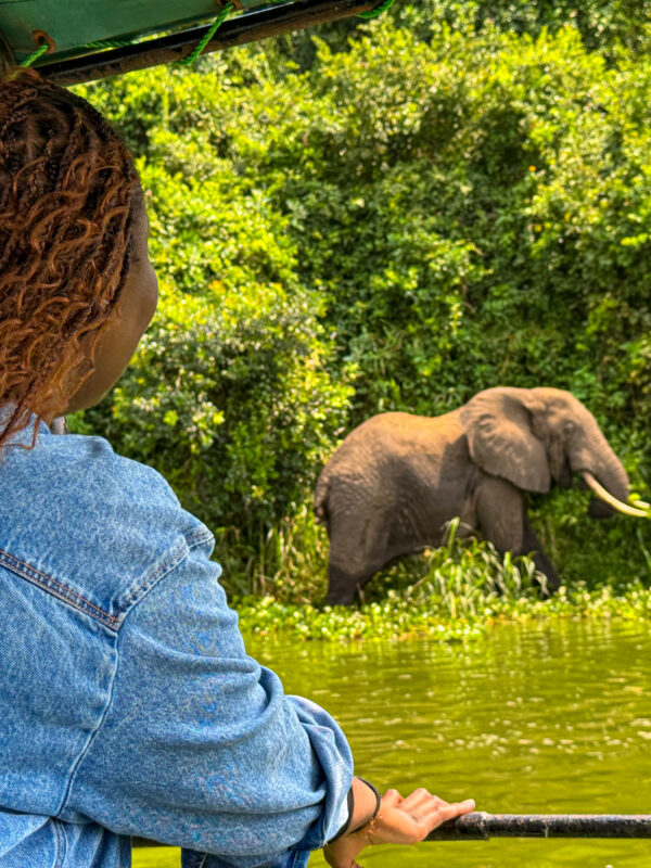 Queen Elizabeth National Park safari, Uganda safari travel, Kazinga Channel boat cruise, wildlife in Queen Elizabeth National Park, lions in Uganda safari, Uganda safari vlog, western Uganda travel guide, Kazinga Channel wildlife, Uganda safari animals, Queen Elizabeth Bush Lodge Uganda, Uganda travel blog safari, African safari Uganda