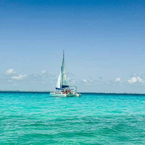 Cancun travel guide, Cancun summer vacation, Sandos Cancun review, Cancun Hotel Zone resort, swimming with whale sharks Cancun, whale shark tour Cancun Mexico, snorkeling Cancun reef, Cancun Underwater Museum MUSA, things to do in Cancun Mexico, Cancun travel vlog, Cancun beach vacation, Mexico Caribbean travel, Cancun all inclusive resort, Cancun travel tips, Yucatan Peninsula travel