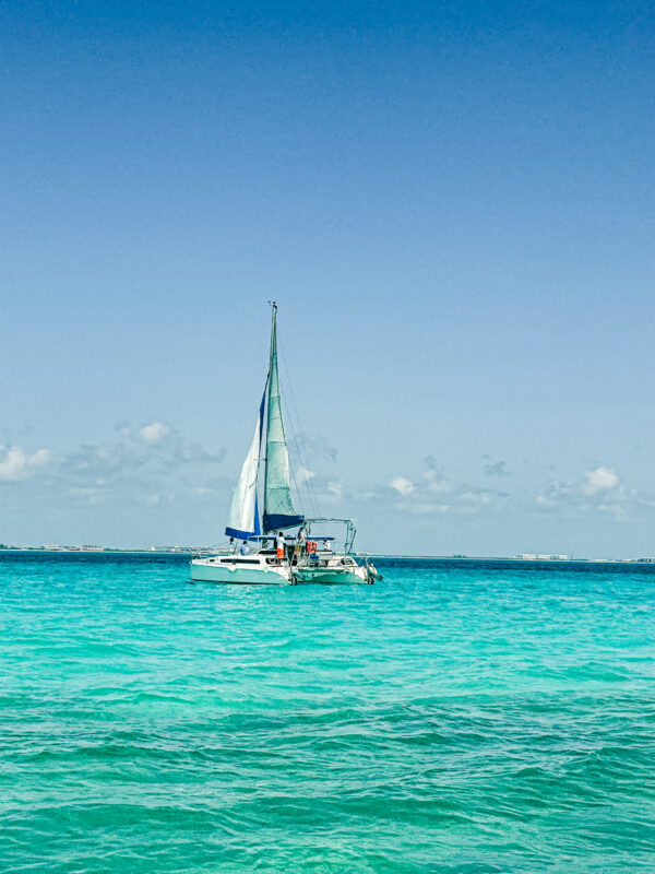 Cancun travel guide, Cancun summer vacation, Sandos Cancun review, Cancun Hotel Zone resort, swimming with whale sharks Cancun, whale shark tour Cancun Mexico, snorkeling Cancun reef, Cancun Underwater Museum MUSA, things to do in Cancun Mexico, Cancun travel vlog, Cancun beach vacation, Mexico Caribbean travel, Cancun all inclusive resort, Cancun travel tips, Yucatan Peninsula travel