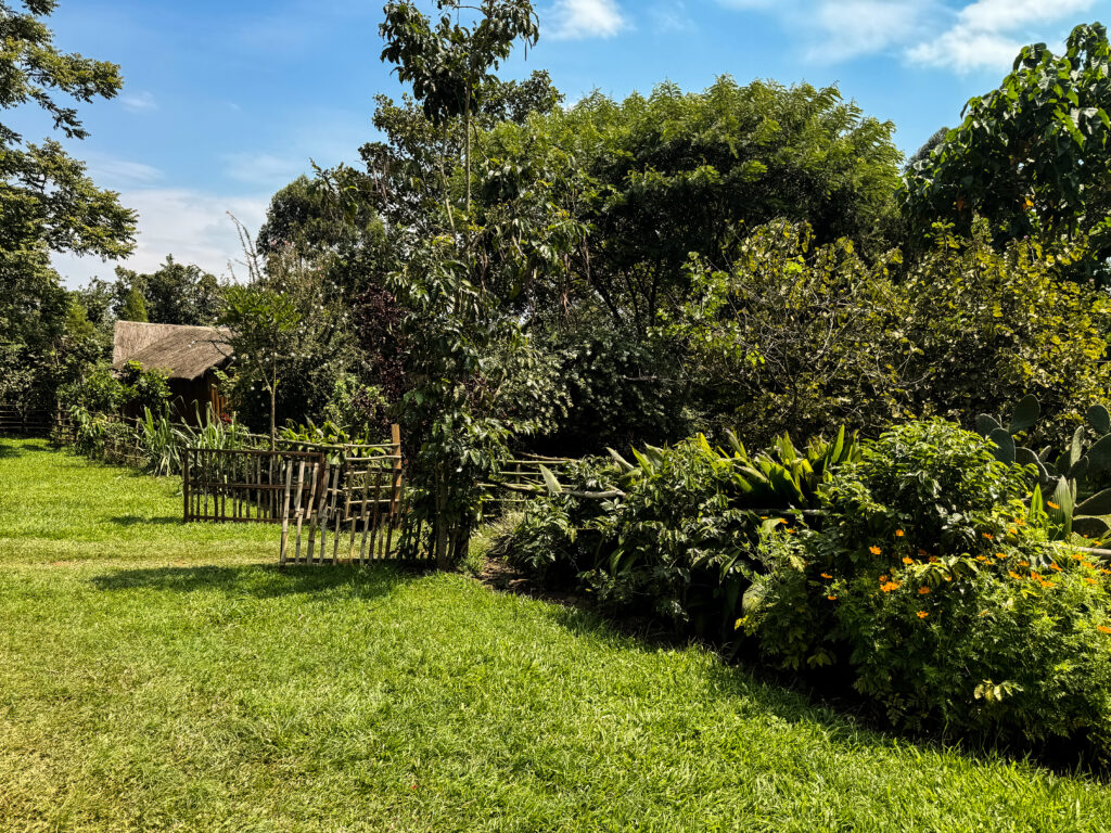 western Uganda travel, Fort Portal Uganda travel guide, Kalitusi Nature Resort Fort Portal, Tooro Royal Palace Uganda, Kasese Uganda travel, Queen Elizabeth National Park Uganda, Dave the Cave Eco Lodge, crater lakes Uganda, Rwenzori Mountains travel, Uganda road trip, Uganda travel vlog, Uganda safari travel, Fort Portal tourism city