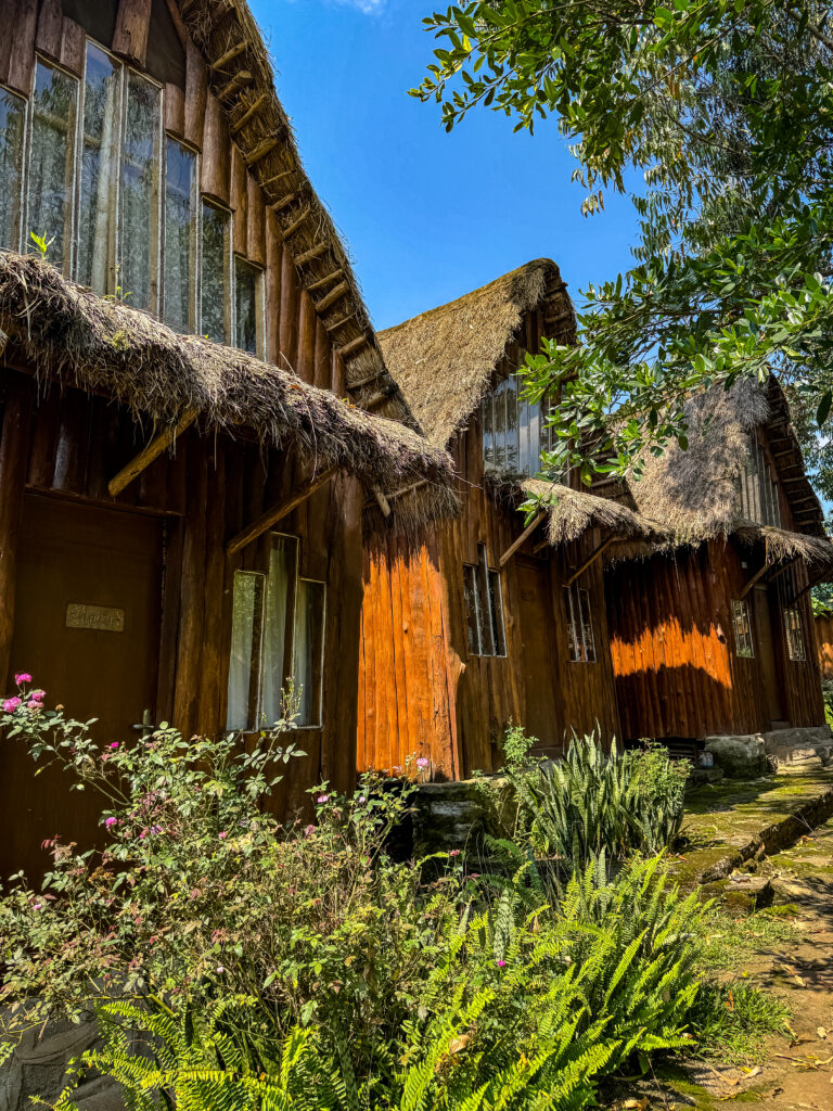 western Uganda travel, Fort Portal Uganda travel guide, Kalitusi Nature Resort Fort Portal, Tooro Royal Palace Uganda, Kasese Uganda travel, Queen Elizabeth National Park Uganda, Dave the Cave Eco Lodge, crater lakes Uganda, Rwenzori Mountains travel, Uganda road trip, Uganda travel vlog, Uganda safari travel, Fort Portal tourism city